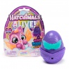 Hatchimals Neon Regenbogen Einzelpackung