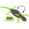 Hex Bots RC Gecko klettert an Wänden hoch