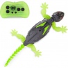 Hex Bots RC Gecko klettert an Wänden hoch