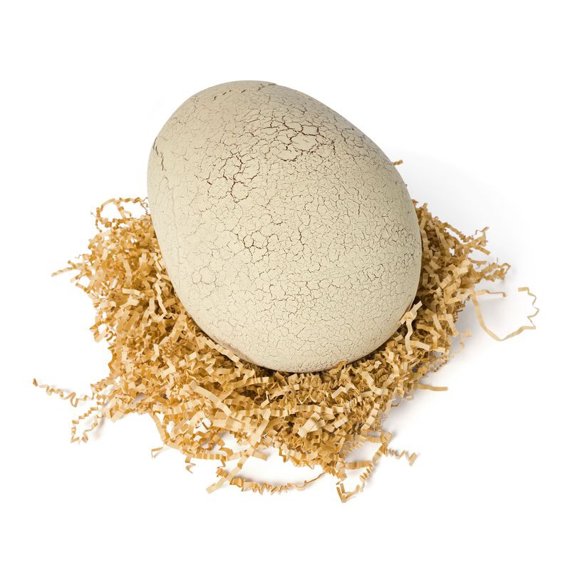 Primal Hatch Dino interaktiver T-rex schlüpft aus dem Ei