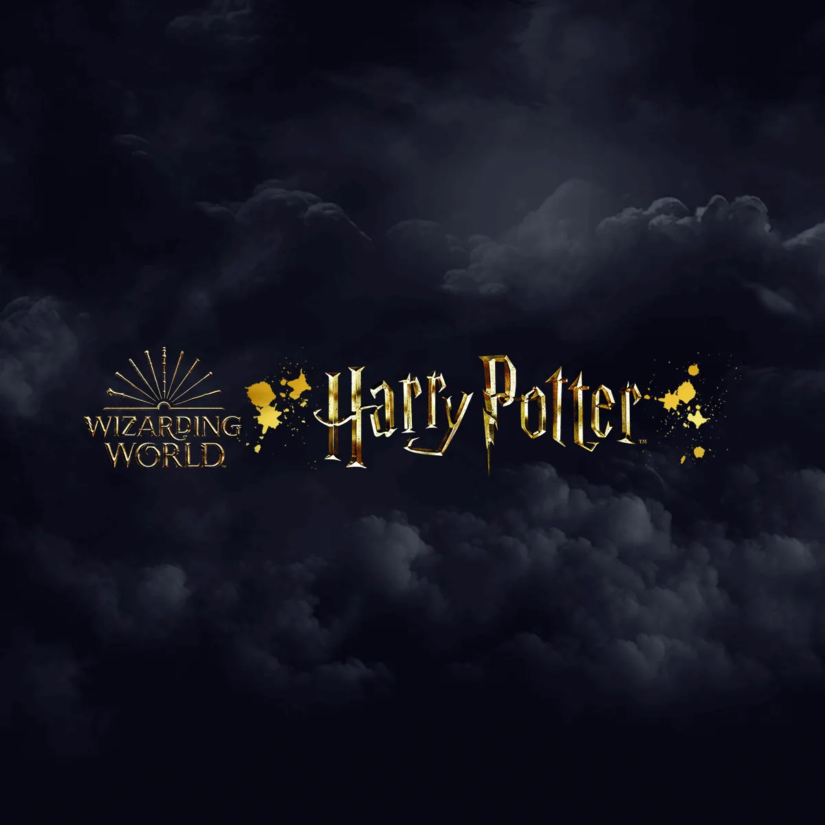 Offizielles Logo Harry Potter kleine Eule Hedwig mit Geräuschen und Bewegungen